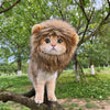 Meowblu™ Cute Lion Mane Cat Costume Wig