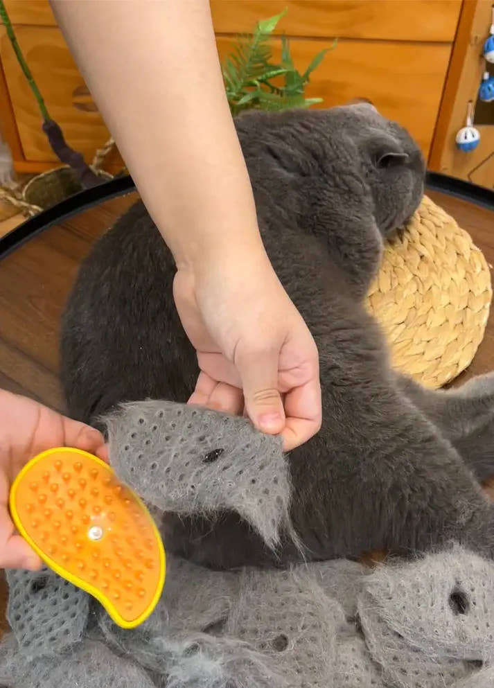 Meowblu™ Steamy Cat Brush