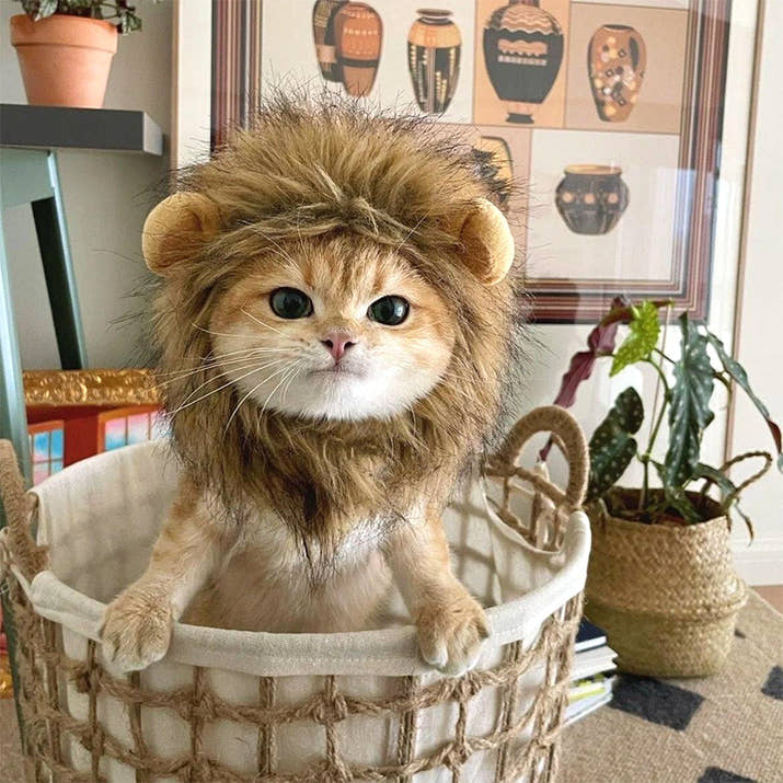 Meowblu™  Cute Lion Mane Cat Costume Wig