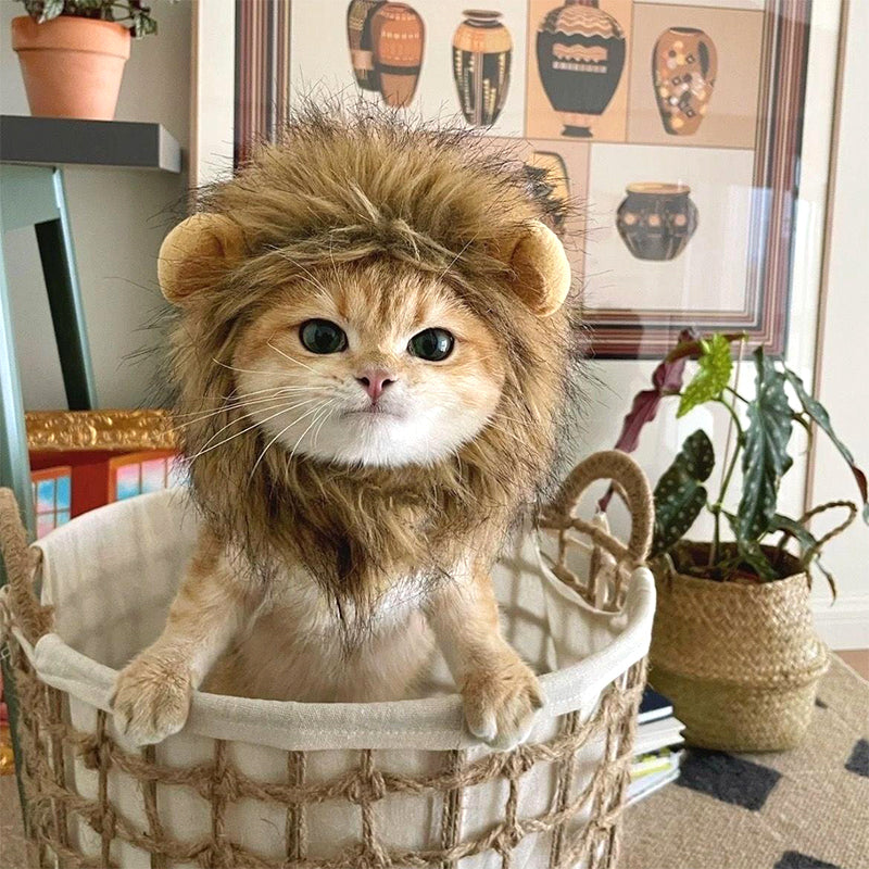 Meowblu™  Cute Lion Mane Cat Costume Wig