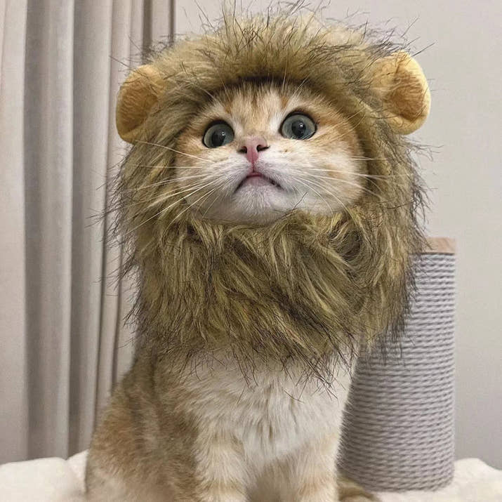 Meowblu™  Cute Lion Mane Cat Costume Wig