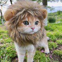 Meowblu™  Cute Lion Mane Cat Costume Wig