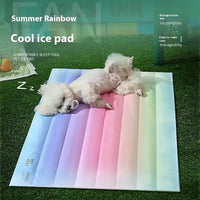 Dog lying on a colorful cool ice pad with text describing its features.