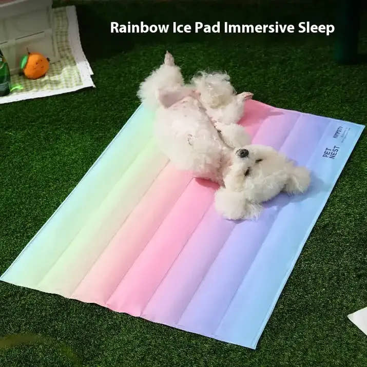 Dog lying on a rainbow-colored ice pad with text 'Rainbow Ice Pad Immersive Sleep' above.