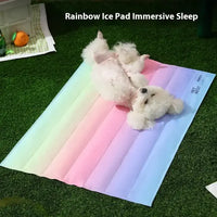 Dog lying on a rainbow-colored ice pad with text 'Rainbow Ice Pad Immersive Sleep' above.