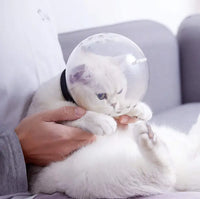 Meowblu™ Adjustable Anti-Bite Cat Helmet