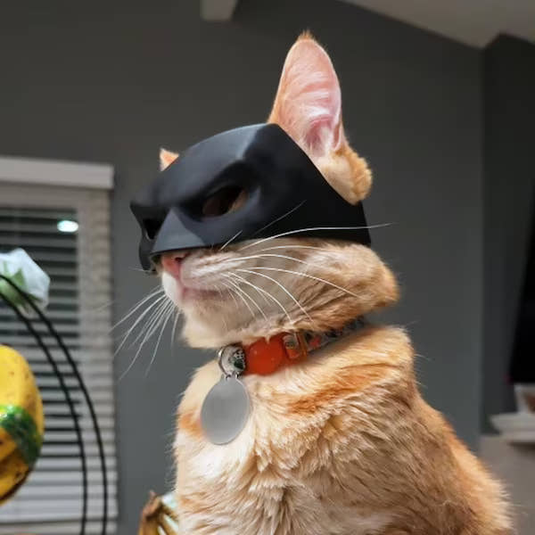 Meowblu™ Bat Cat Avenger Mask