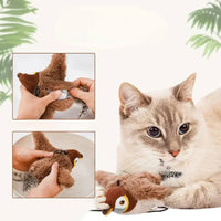 Cat playing with a plush toy, with close-up insets of hands manipulating the toy.