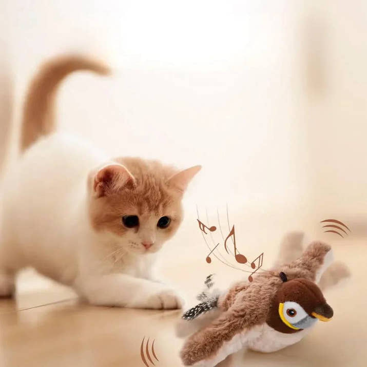 Cat playing with a plush toy resembling a bird on a light background